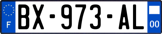 BX-973-AL