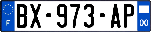 BX-973-AP