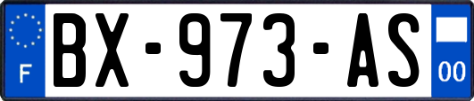 BX-973-AS