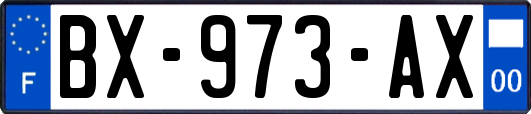 BX-973-AX