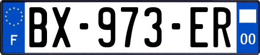 BX-973-ER