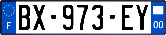 BX-973-EY