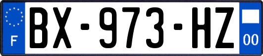 BX-973-HZ