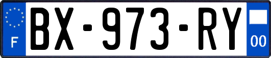 BX-973-RY