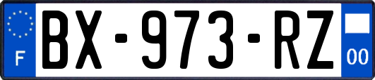 BX-973-RZ