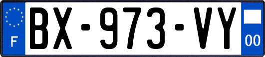 BX-973-VY