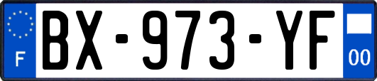 BX-973-YF