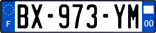 BX-973-YM