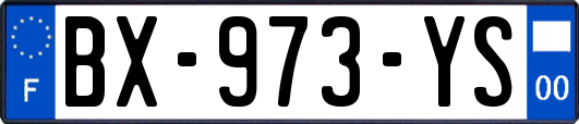 BX-973-YS