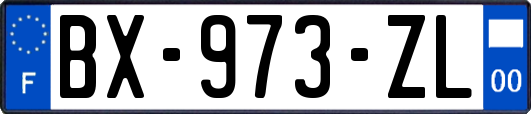 BX-973-ZL