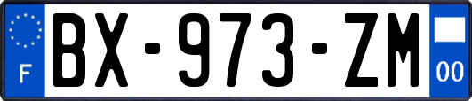 BX-973-ZM