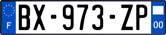 BX-973-ZP