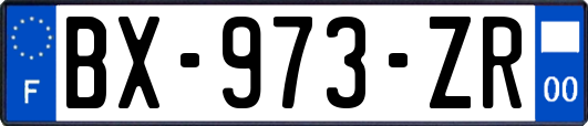BX-973-ZR