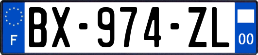 BX-974-ZL