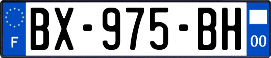 BX-975-BH