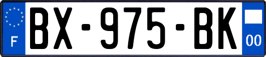 BX-975-BK