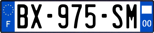 BX-975-SM