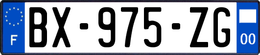 BX-975-ZG