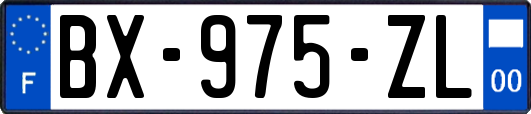 BX-975-ZL