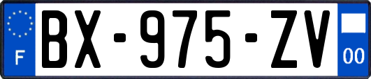 BX-975-ZV