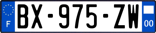 BX-975-ZW