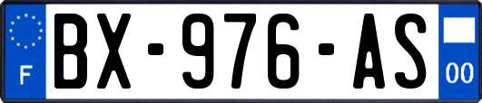 BX-976-AS