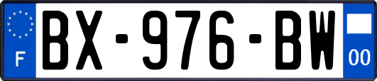 BX-976-BW