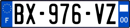 BX-976-VZ