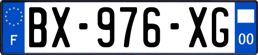 BX-976-XG