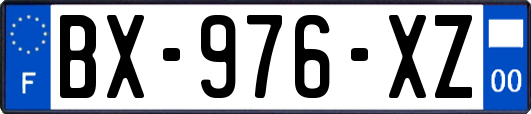 BX-976-XZ