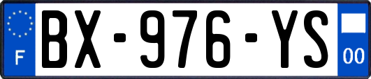 BX-976-YS