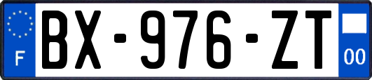 BX-976-ZT