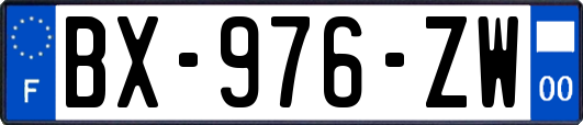 BX-976-ZW