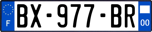 BX-977-BR