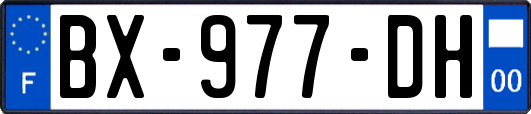 BX-977-DH