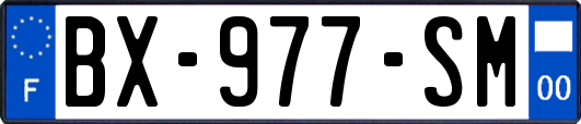 BX-977-SM