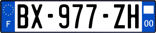 BX-977-ZH