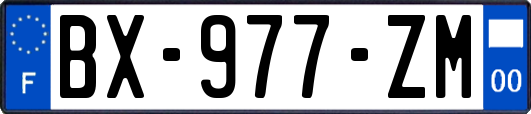 BX-977-ZM