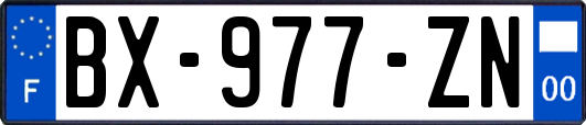 BX-977-ZN