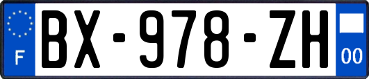 BX-978-ZH