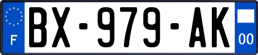 BX-979-AK