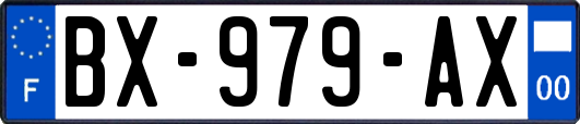 BX-979-AX