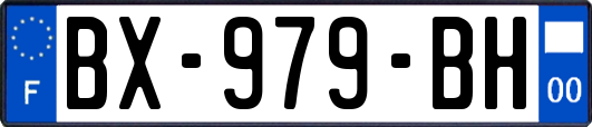 BX-979-BH