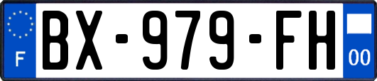 BX-979-FH