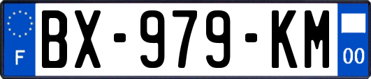 BX-979-KM