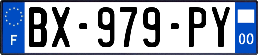BX-979-PY