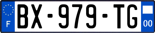 BX-979-TG