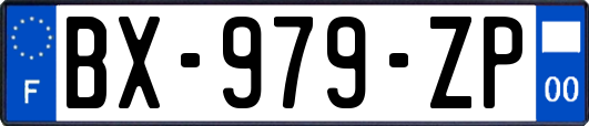 BX-979-ZP