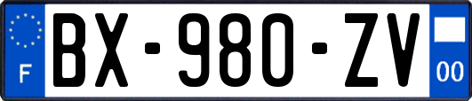 BX-980-ZV