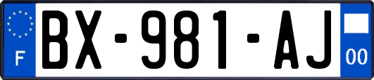 BX-981-AJ